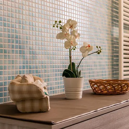 Apartment Basilica Sant'antonio @100 Meters *
